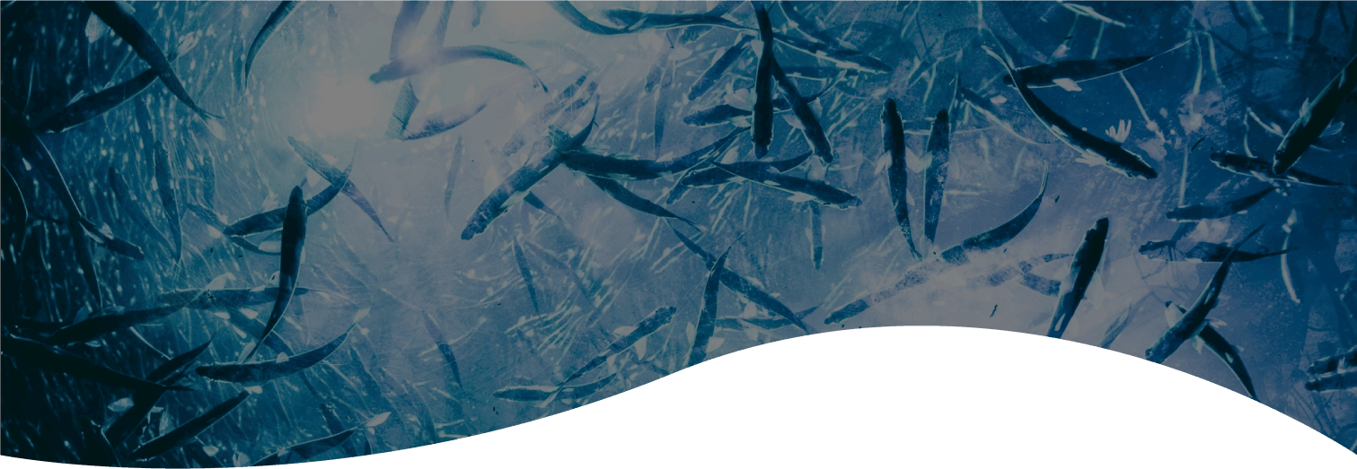 Banner Aquacultura