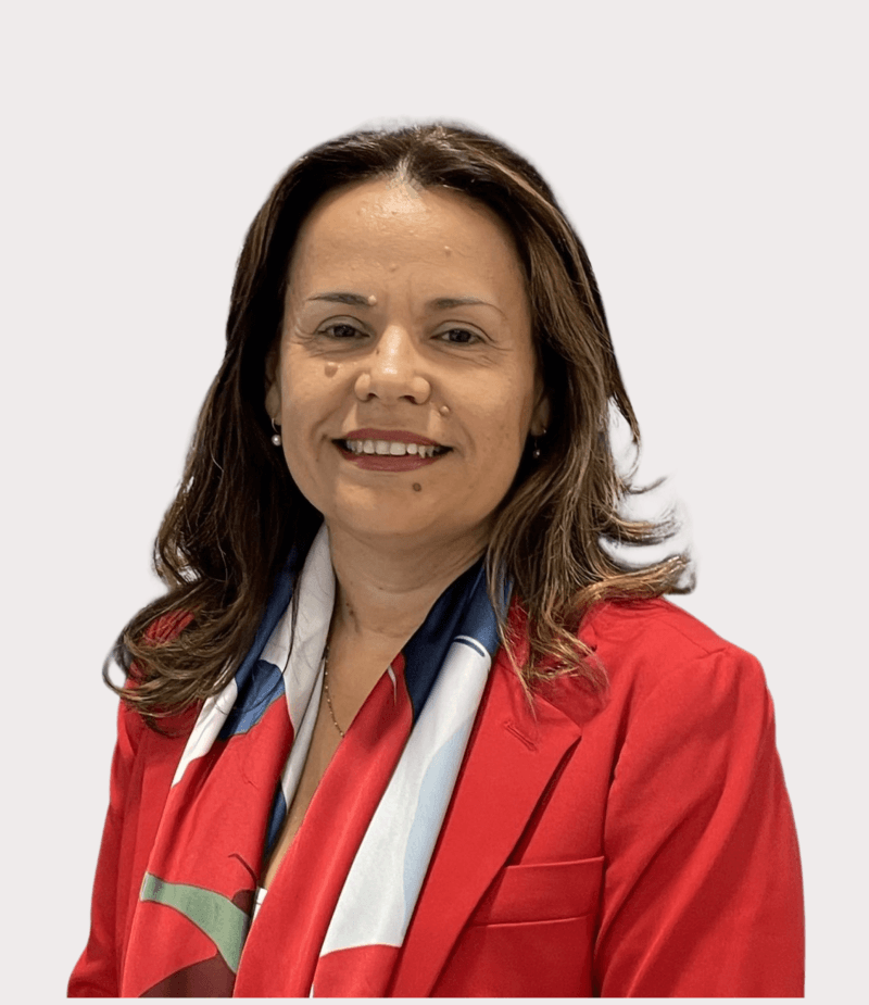 Ana lima