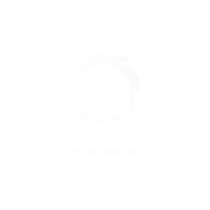 Associate Logo 30