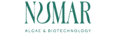 Numar color logo