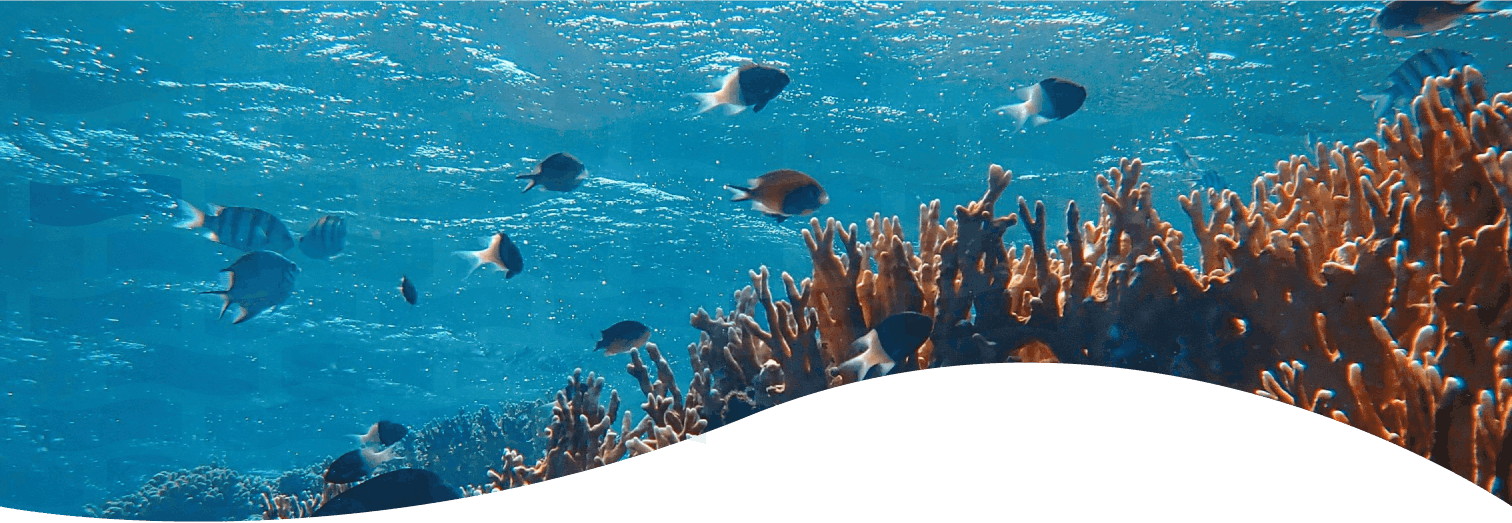 Banner Sobre Nós